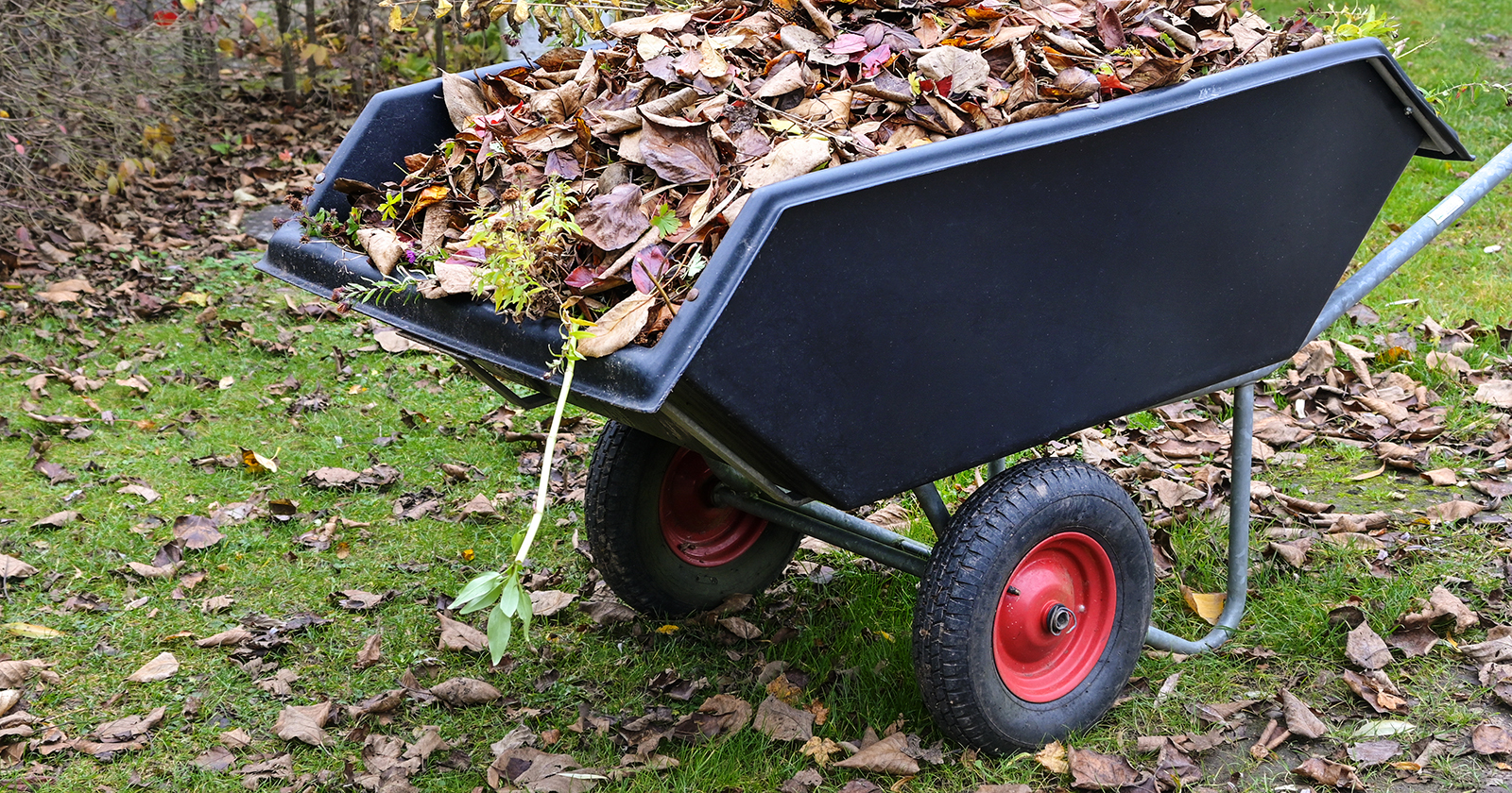 ATV Trailer with Leaves on Grass
