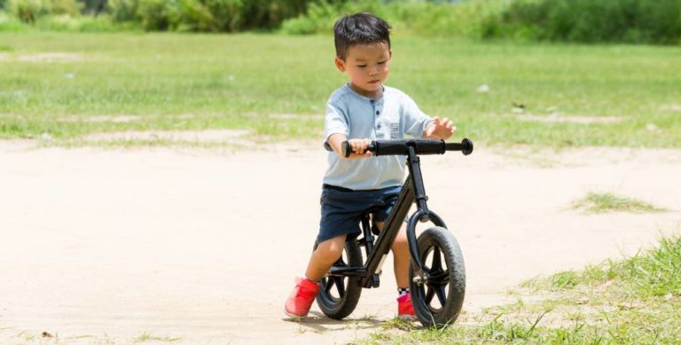 10 Best Toddler Bikes (Review)