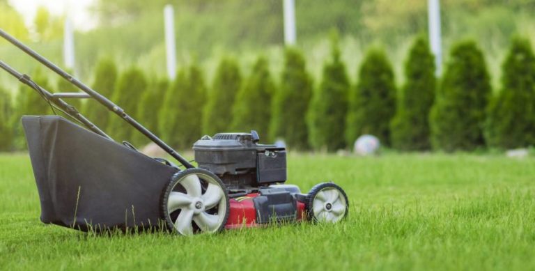 Black Friday Deals on Battery & Electric Lawn Mowers